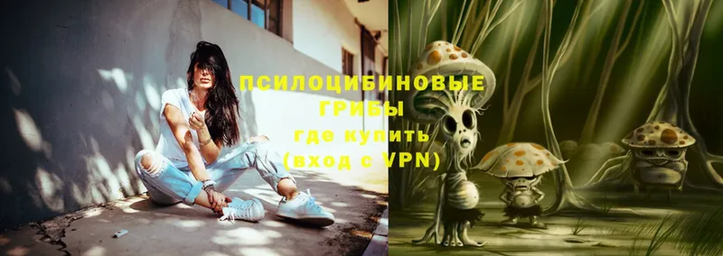 ОМГ ОМГ как зайти  Углегорск  Псилоцибиновые грибы Psilocybe  где купить наркоту 